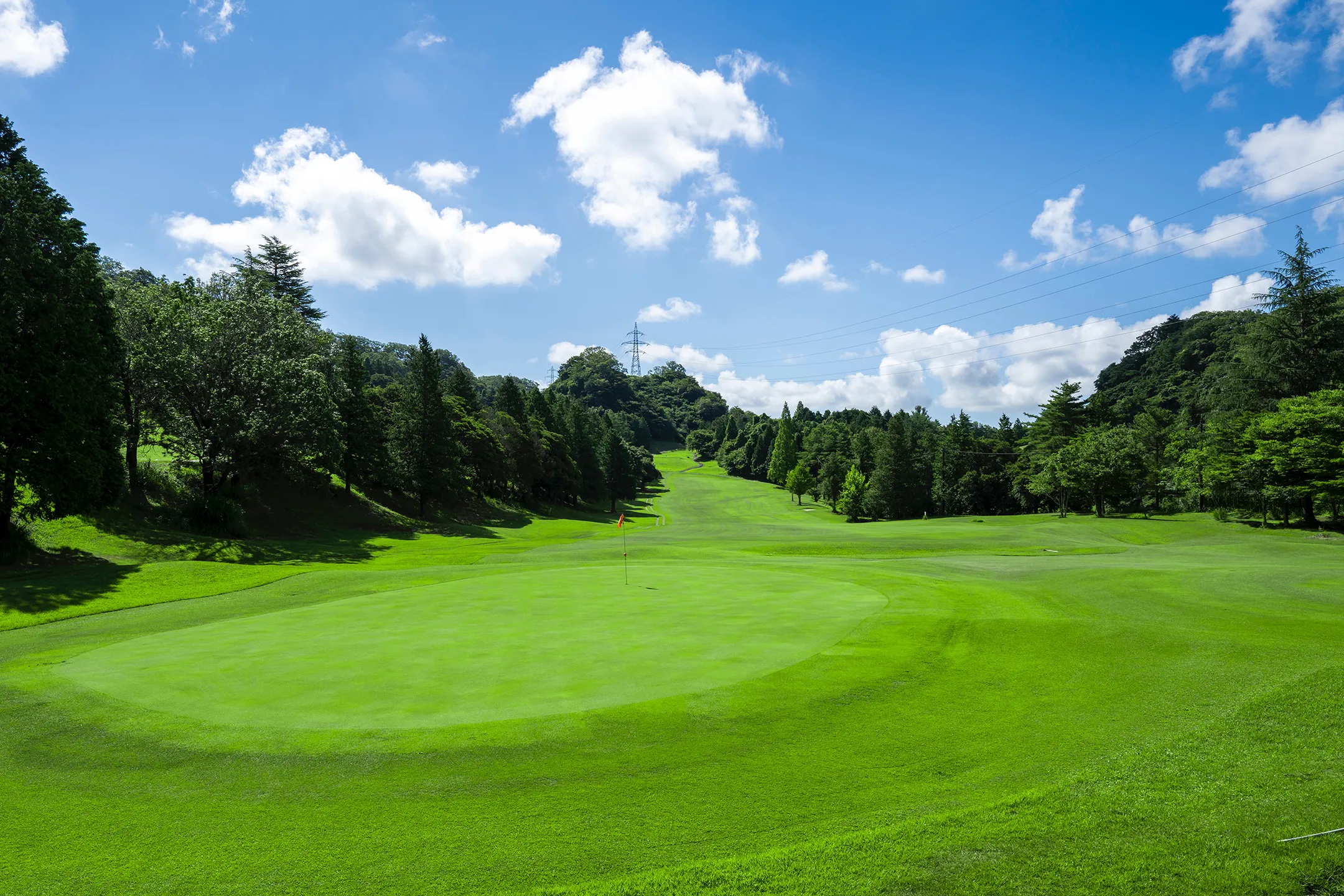 CENTRAL COURSE