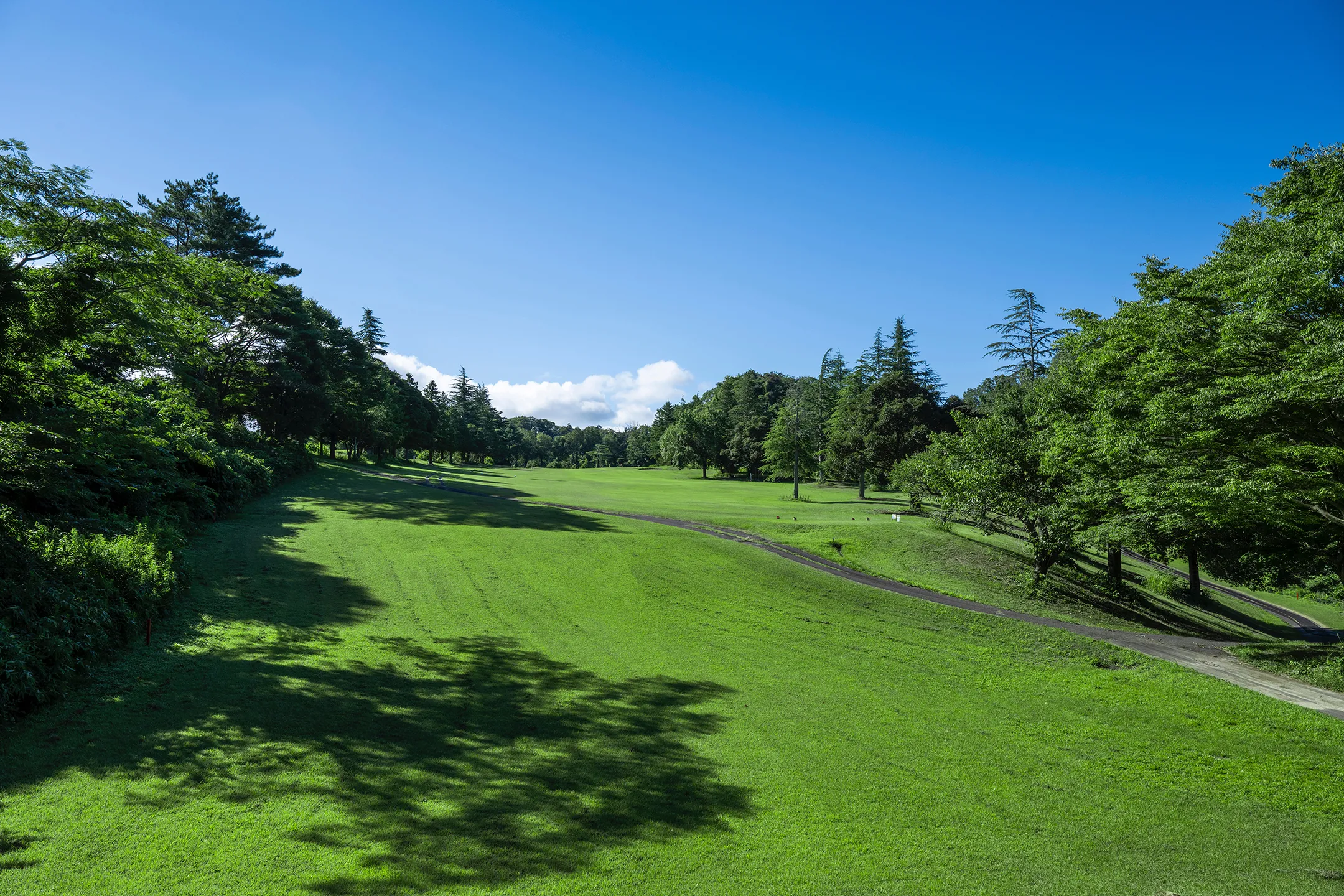 CENTRAL COURSE